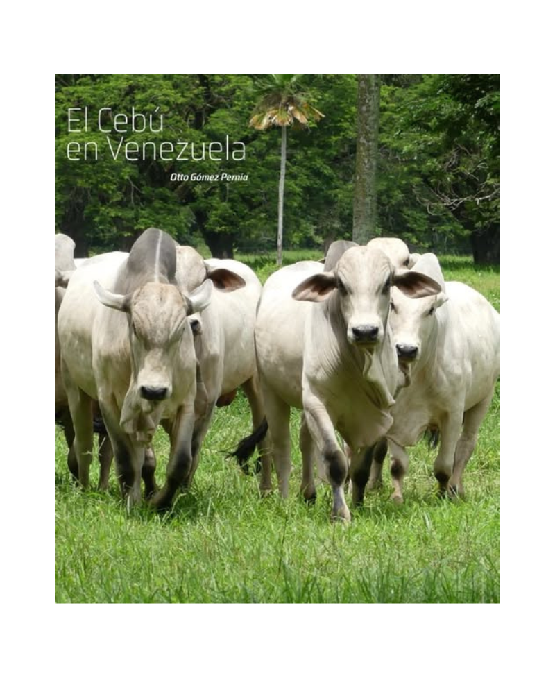El cebú en Venezuela